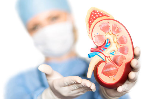 Kidney Stone Surgery