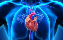Heart Disease Treatments